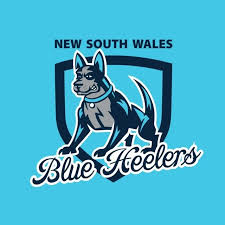 NSW Police Australian Football Club Logo